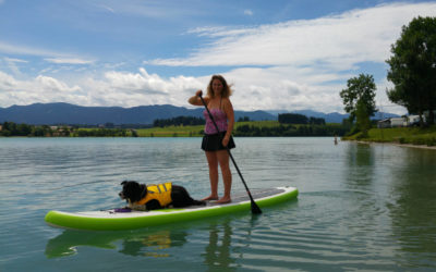 Anleitung zum Einstieg ins Standup Paddling mit Hund