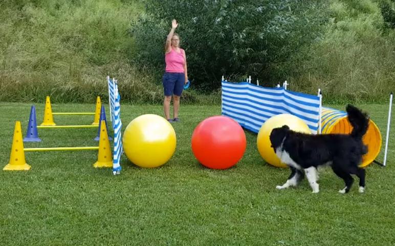 Treibball - Übung der Jakobsweg - Fortgeschrittene