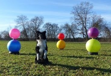 Die Treibball Schneemann Challenge – Mitmach-Aktion – Einsendeschluss 26. Februar 2020