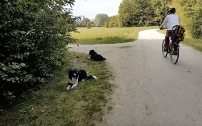 Tipps zum entspannter Gassi gehen bei Begegnungen mit Radfahrern mit Hilfe eines Keep Going Signals