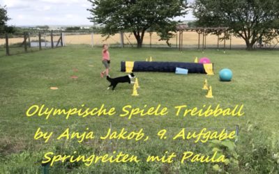 Paula und die olympischen Treibball Challenges Baseball, Hürdenlauf und Springreiten